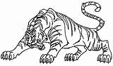 Tigre Tigres Cringer Coloriages Colorier Heman sketch template