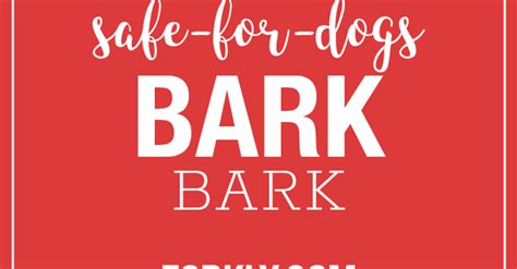 safe  dogs bark bark forkly