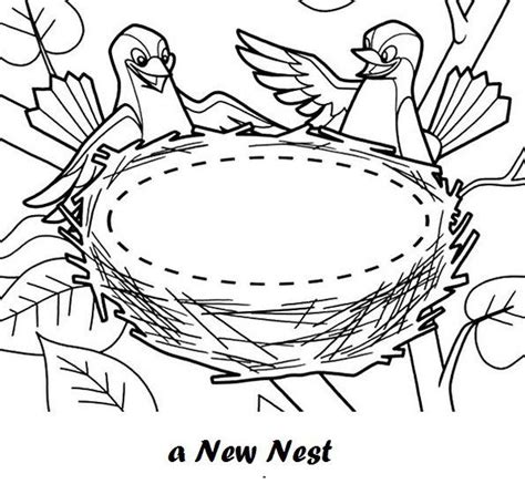 bird   nest coloring sheet coloring pages animal coloring
