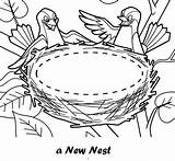 Nest Coloring Bird Pages Clipart Birds Printable Sheet Nests Kids Coloringpagesfortoddlers Webstockreview Animal Drawing sketch template