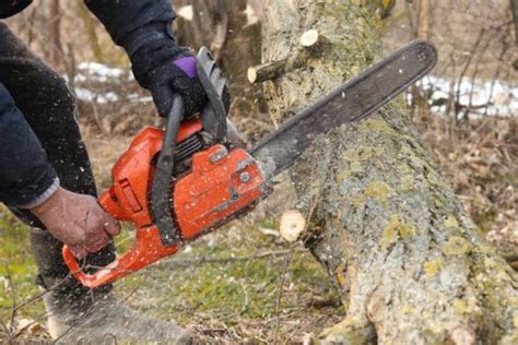 5 Top Husqvarna Chainsaws Of 2022 – Reviews And Buying Guide