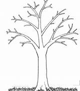 Tree Coloring Pages Leaves Without Printable Clipart Outline Print Kids Trunk Trees Leafless Template Color Colouring Bare Coloringtop Leaf Cliparts sketch template