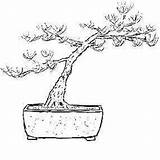 Bonsai Coloring Designlooter Book 286px 99kb sketch template