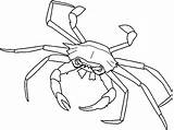 Cangrejos Crab Centollo Cangrejo Cuttlefish Drawings Shellfish Ahiva Aranas Marinos Maja Squid sketch template