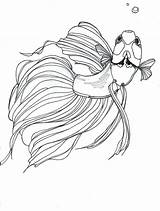 Betta Fish Coloring Drawing Tattoo Pages Fighting Siamese Beta Outline Drawings Great Would Make Color Stencil Deviantart Peixe Template Line sketch template