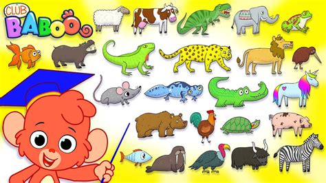 animal abc learn  alphabet   animals  children alphabet