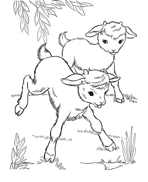 farm animal coloring page goat baby goats farm animal coloring pages