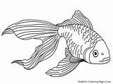 Regenbogenfisch Ausmalbilder Tiere sketch template
