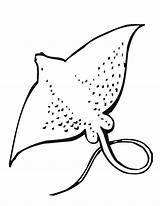 Coloring Sea Animals Pages Ray Stingray Manta Drawing Life Ocean Clipart Realistic Drawings Animal Creatures Corvette Underwater Printable Getdrawings Giant sketch template