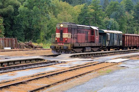 vlak les nadrazi nakladni fotografie zdarma na pixabay