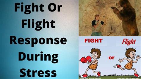 fight  flight response  stresswhat  occur  stress