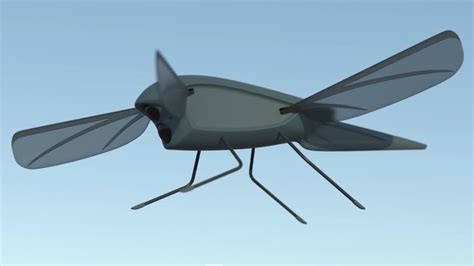 mimicking birds  insects   future  drones marketplace