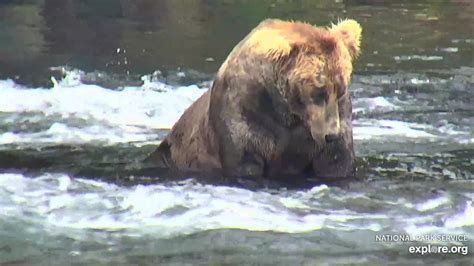 480 Otis At Brooks Falls In Katmai National Park Alaska On