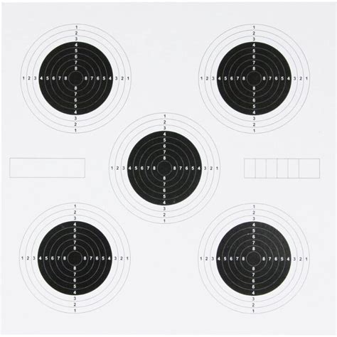 100 X 25m Targets Clear Ideal For Zeroing Grouping