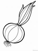 Coloring Onion Pages Vegetables Fruits Recommended Getdrawings sketch template