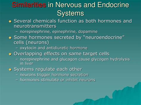 Ppt Endocrine System Powerpoint Presentation Free