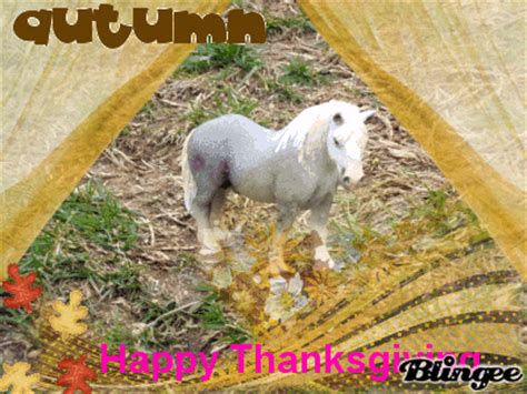 thanksgiving horse picture  blingeecom