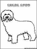 Lhasa Apso sketch template