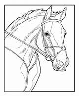 Realistic Stronger Animaljr Paardenhoofd Paarden Coloringhome Sheets sketch template