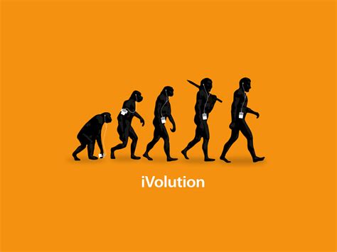 human evolution wallpaper cnyuf picseriocom picseriocom