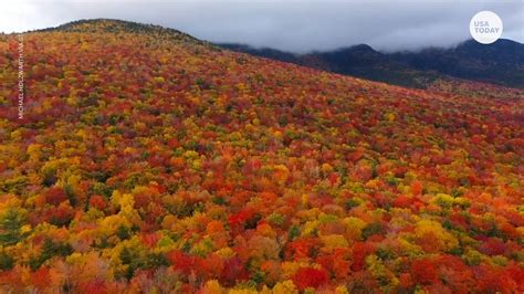 breathtaking fall foliage colors  trees   hampshire