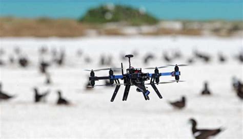 drones revolutionize ecological monitoring  futurist