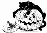 Halloween Coloring Pages Printable Cat Adults Pumpkin Print Scary Adult Sheets Colorings Pumpkins Color Colouring Cats Colour Kids Books Book sketch template
