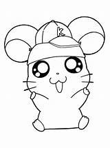 Adopt Hamsters sketch template