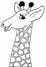 Giraffe Face Coloring Pages Getcolorings Color Print sketch template
