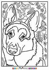 German Shepherd Coloring Dog Pages Color Getdrawings Print Drawing Getcolorings sketch template