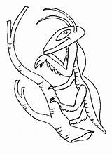 Mantis Coloring Praying Sheet Popular Library Clipart Coloringhome sketch template