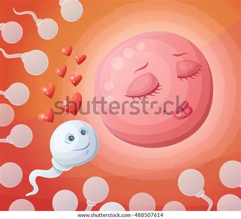 Sperm Egg Womb Cartoon Vector Illustration Stock Vector Royalty Free