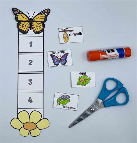 life cycle   butterfly   printables homeschool