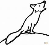 Fox Coloring Pages Howling Arctic Red Easy Zorro Printable Print Aullando Supercoloring Dibujos Un Clipart Color Cute Hound Foxes Wolf sketch template