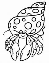 Crab Hermit Coloring House Pages Drawing Cute Kids Eric Colouring Carle Crafts Printable Animal Baby Unicorn Activity Boyfriend Preschool Animals sketch template