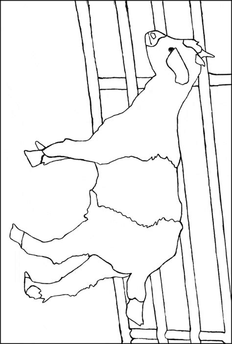 goat coloring page animals town animals color sheet goat