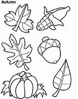 Coloring Fall Pages Kindergarten Getdrawings sketch template