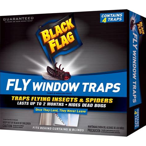 black flag fly window trap  pack hg   home depot