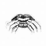 Biting Nails Bite Drawing Lip Nail Illustration Dotwork Lips Vector Getdrawings Mouth Sketch Fingers Stock Hand sketch template