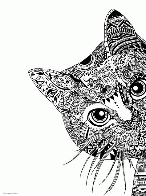 black  white drawing   cat  intricate designs   face
