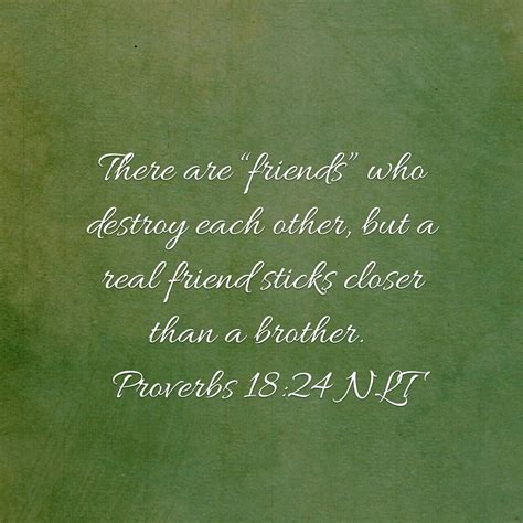 proverbs 18 24 daily bible verse proverbs 18 proverbs 18 24