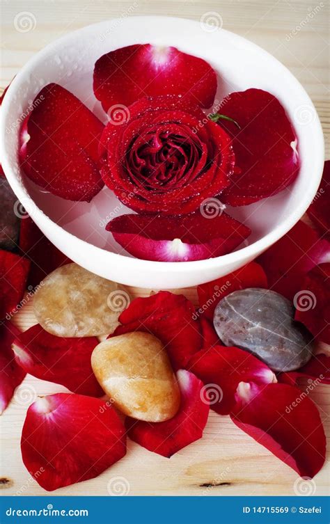 rose petal spa stock image image  flower healthcare