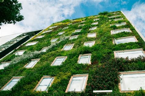 Plano Y Escala Muros Verdes O Jardines Verticales En Edificación I