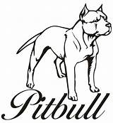 Pitbull Drawing Puppy Amstaff Pitbulls Easy Bestcoloringpagesforkids Kids Chiens Outline Pittbulls Canecorso Elefantes Clipartmag Designlooter Neocoloring sketch template