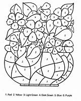 Number Color Coloring Pages Printable Kids Flowers sketch template