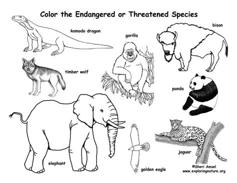 endangered animals coloring nature