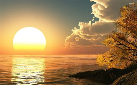 rising sun  sunflowers wallpapers wallpaper cave