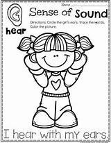 Senses Coloring Sense Preschool Sound Five Pages Kids Worksheets Planning Para Planningplaytime Sentidos Ingles Activities Colorear Kindergarten Los Playtime Toddler sketch template