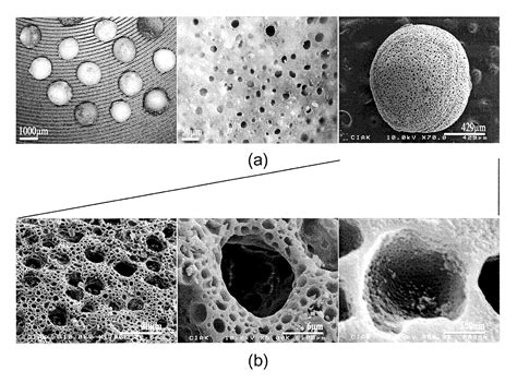 patent  porous material  hierarchical porous structure  preparation method