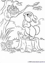 Coloring Pages Bunny Choose Board Planse Colorat sketch template